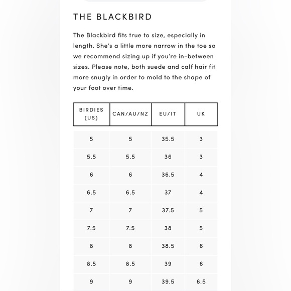 Birdies “ The Blackbird” Flat shoes -discontinue style - Picture 16 of 16